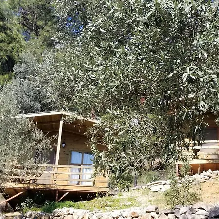 Yavansu Ciftligi * موجلا