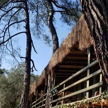 Yavansu Ciftligi *