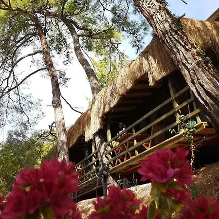 Yavansu Ciftligi * 穆拉